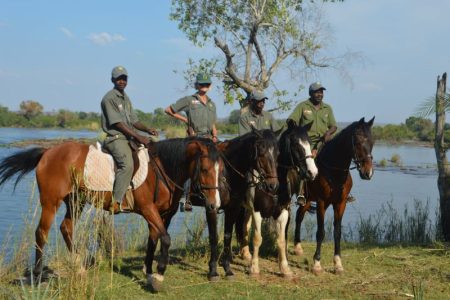 Zambezi Horse Trail Tour