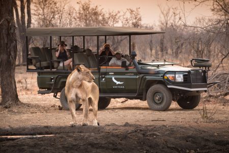 Victoria Falls Safari and Game Drives