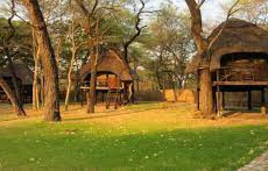 Camp Hwange