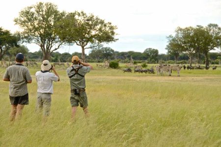 12 nights – Zambia and Zimbabwe Safari (luxury)